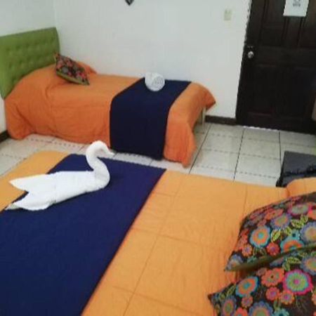 Best Hostel San Jose المظهر الخارجي الصورة