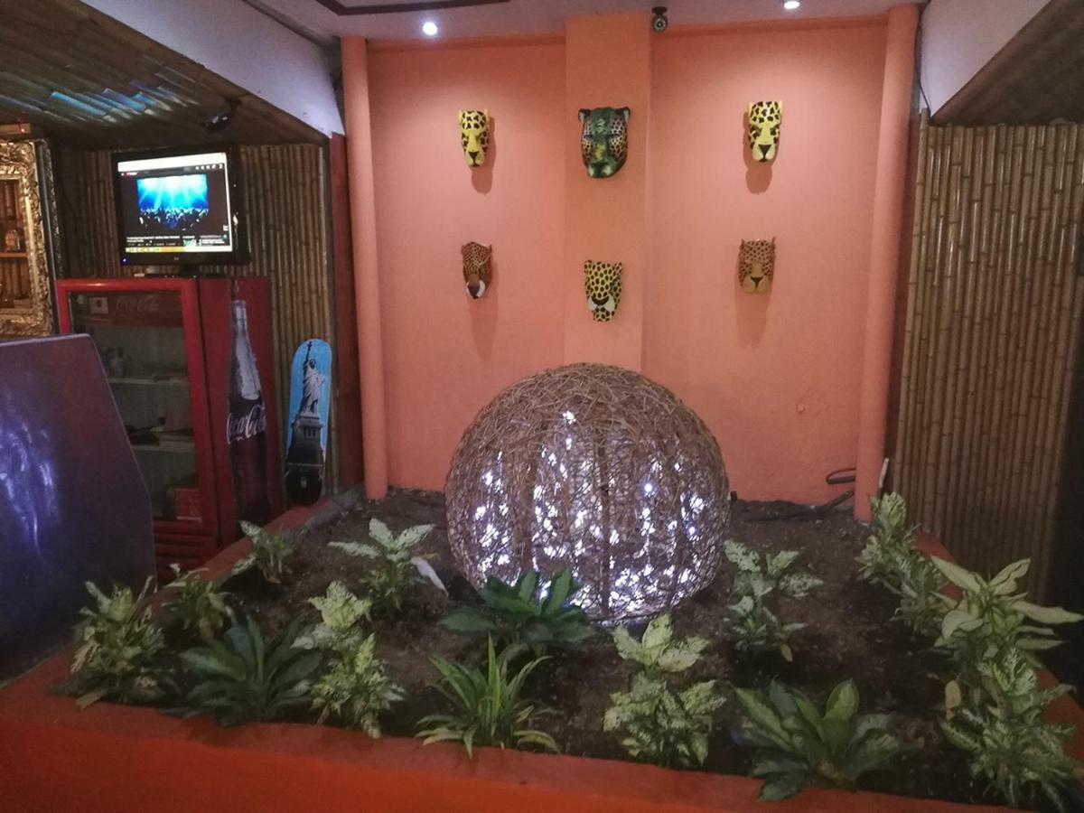 Best Hostel San Jose المظهر الخارجي الصورة